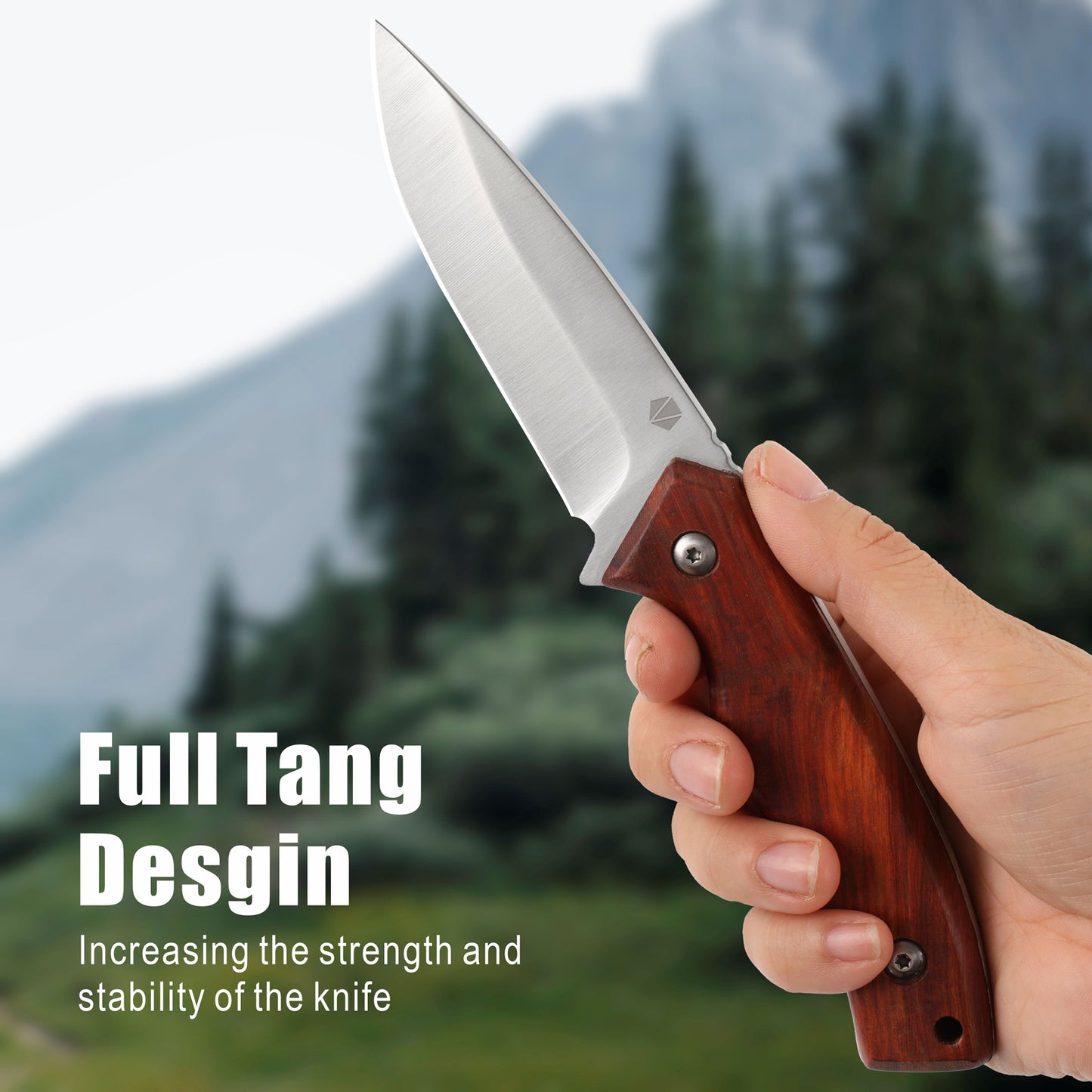 Fixed Blade Knife with Leather Sheath RT-526