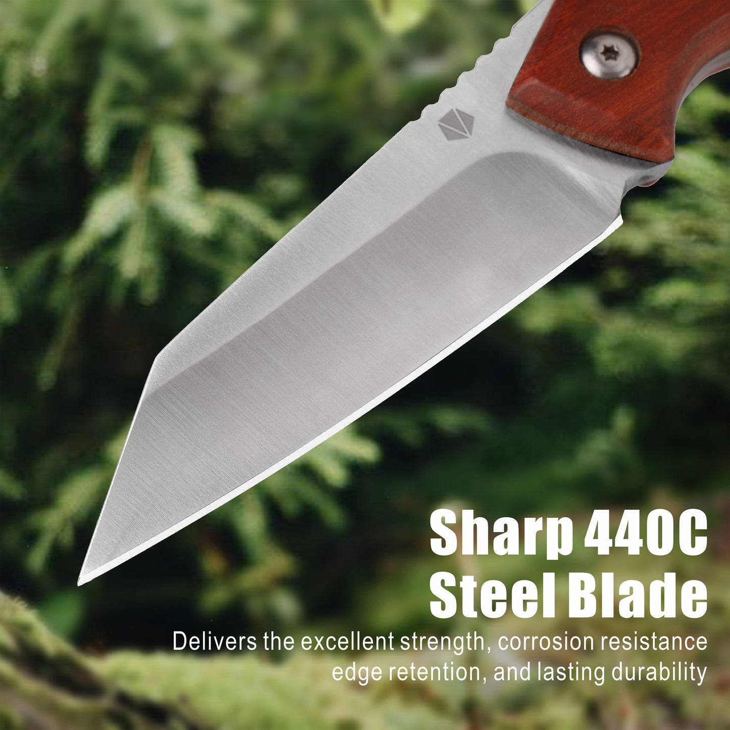 Fixed Blade Knife with Leather Sheath RT-527