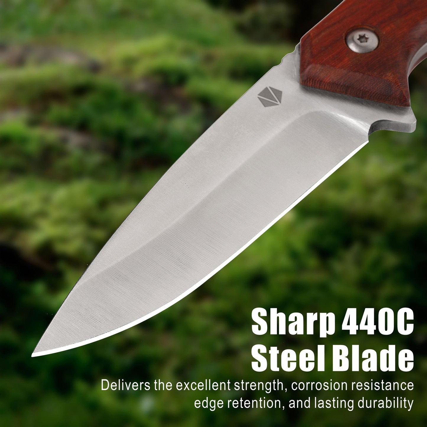 Fixed Blade Knife with Leather Sheath RT-526