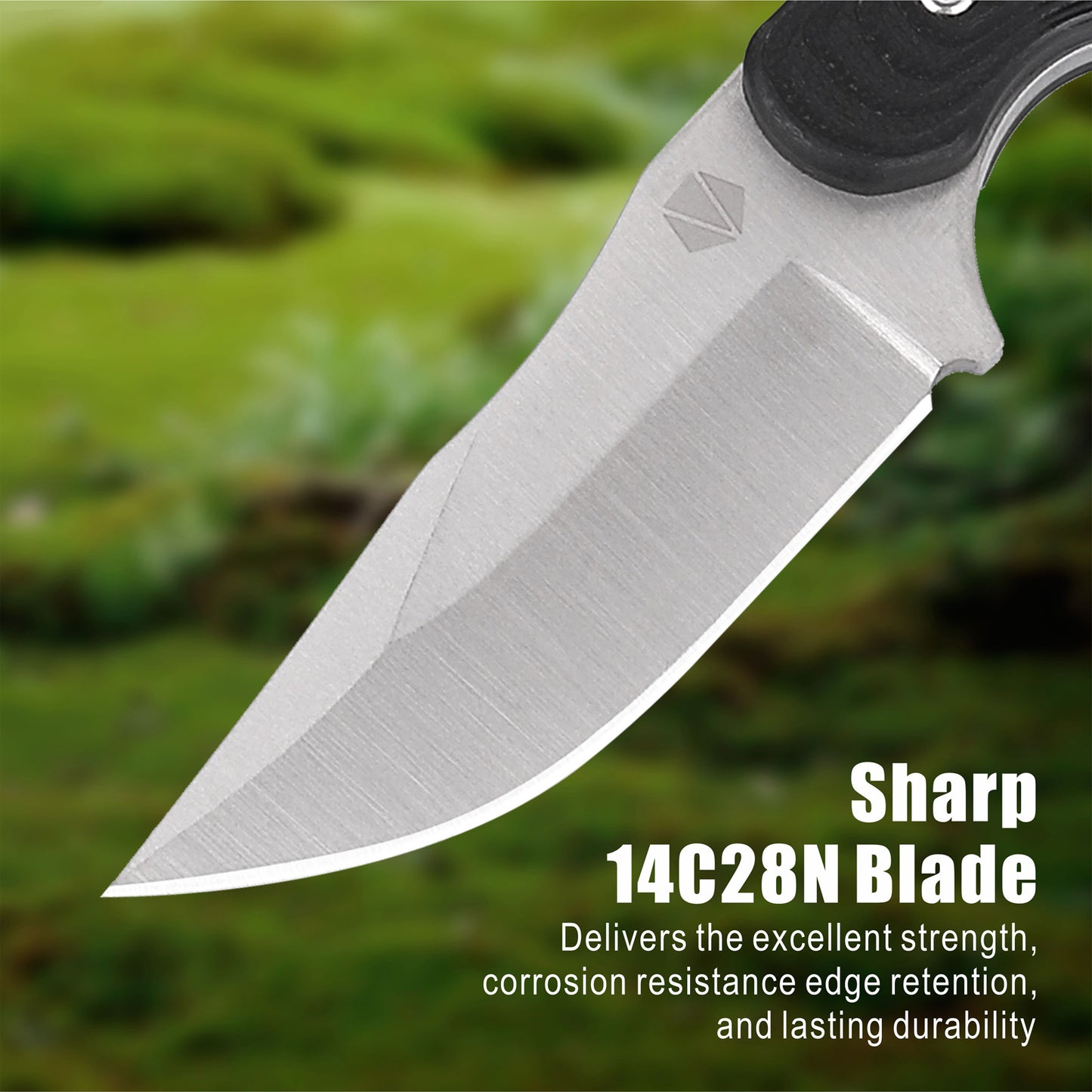 Fixed Blade Knife RT-257
