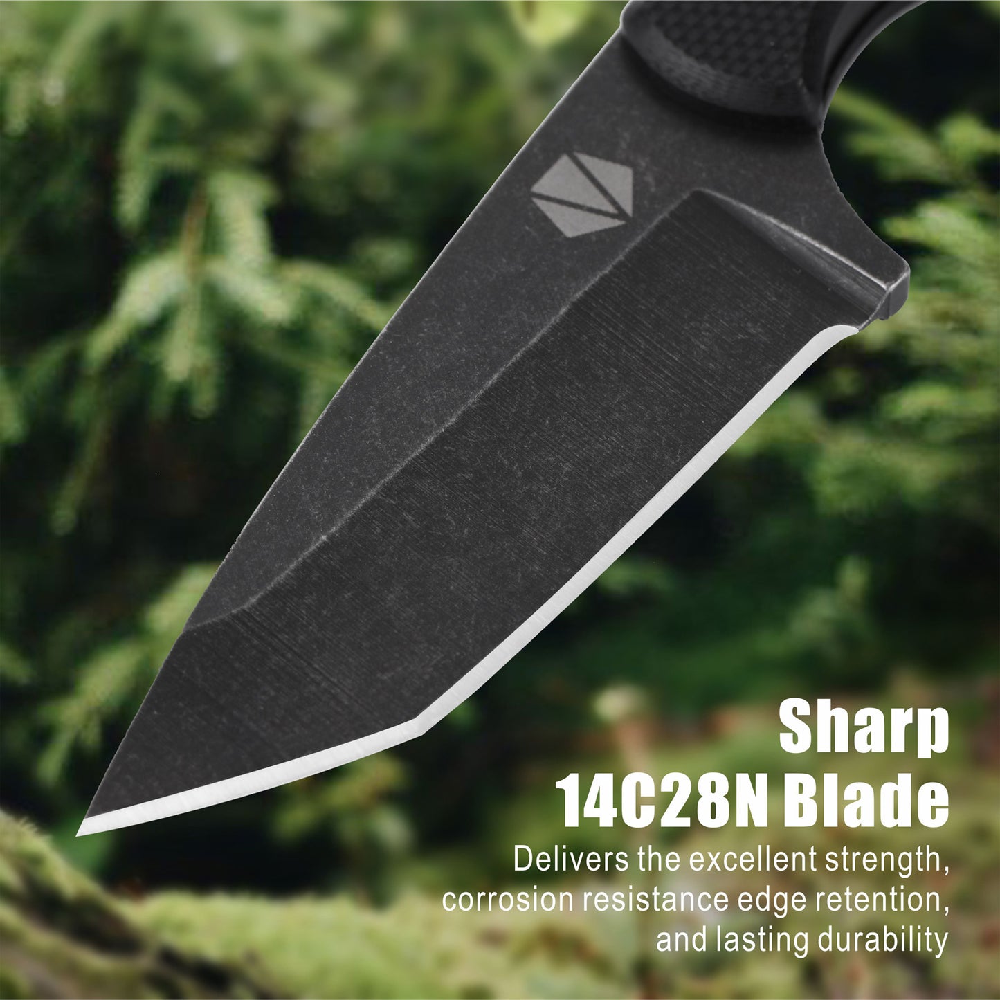 Fixed Blade Knife RT-504