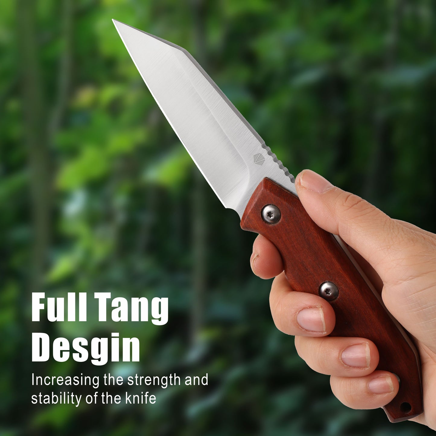 Fixed Blade Knife with Leather Sheath RT-527